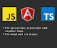 fix any javascript, angular, react bugs