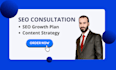 be SEO consultant, coach, mentor, trainer, expert, strategy