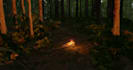 create a realistic 3d environment for you in blender