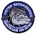 custom embroidered patches designed digitized