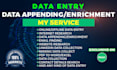 do data entry and data enrichment