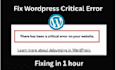 fix critical wordpress error in 1 hour
