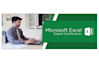 do excel data cleaning, data formatting, and data analysis