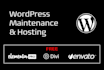 maintain your wordpress website