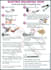 design product manual or  user guide for your product
