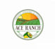 design awesome organic logo