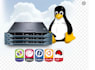 setup web hosting server such as apache nginx whm plesk