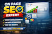 do professional on page SEO optimization for your website