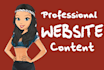 write SEO website content, emails, and other copywriting
