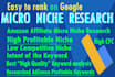 do profitable low competition micro niche keyword research