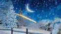 do a merry christmas video animation