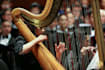 teach you the harp