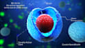 make 3d medical animation