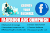 setup facebook ads campaign for leads and sales