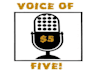provide a professional voice over