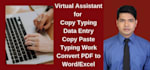 be your virtual assistant as data analyst and web researcher