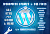 do wordpress maintenance, support, and regular updates
