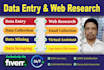 do your data entry, web research, data collection, copy paste job 24hr perfectly