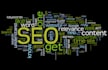 provide complete monthly SEO service with quality backlinks