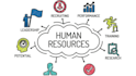 help you with quality human resource projects