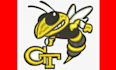 do embroidery digitizing into emb, dst, pes file in 2 hours