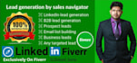 do b2b lead generation and data entry with accuracy