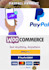 do paypal gateway to your website