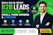 build sales ready b2b leads with verified emails, phone numbers, and linkedin