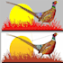 do embroidery digitizing into dst,pes file in 1 hour