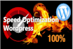speed optimize wordpress website with wp rocket plugin