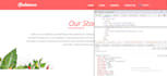 fix your existing website style issues and design a new section