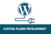 create custom advanced wordpress plugin from scratch