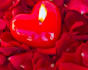 offer powerful love spell casting services