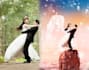 edit your wedding photos