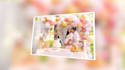 create wedding, birthday, funeral photo slideshow video