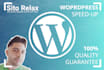 speed up your wordpress ecommerce supremely in 24 hours