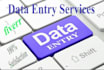 be your virtual assistant for data entry, web research