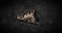 create eye catching logo animation just in 24 hours