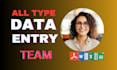 do excel, data entry, team, web research, copy paste, data collection,