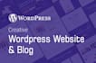 design, redesign  wordpress website and professional blog