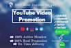 promote youtube video on social media