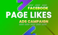create a facebook ad campaign to grow your page likes