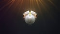 make wings  animation and intro