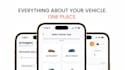 do fully customized website or app promo video