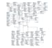 design database model, schema, erd and write sql queries