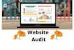 provide website audit report with better resolutions