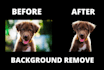 remove 20 background image
