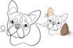 draw 12 hours pet portrait aesthetic one line art continues