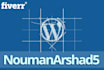do wordpress customization quickly