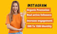 do instagram marketing or promotion for organic growth